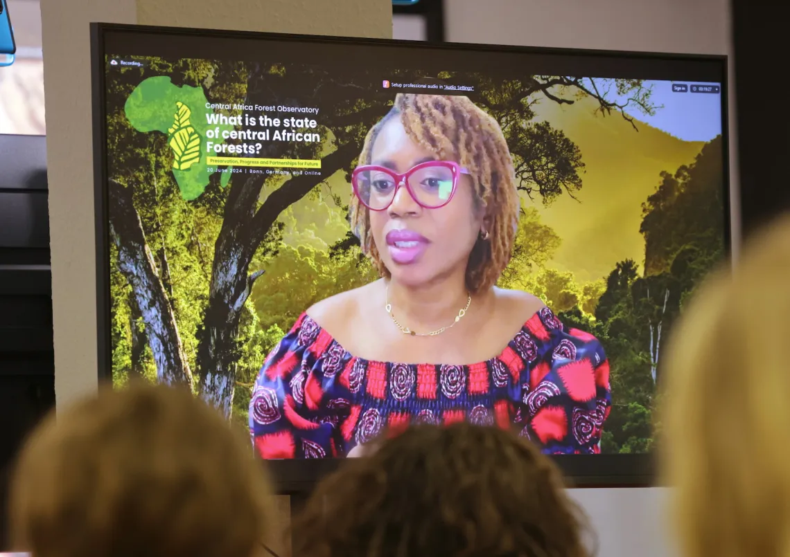 You are currently viewing Protection des forêts d’Afrique centrale : “Nous avons besoin d’informations sur les écosystèmes pour pouvoir les promouvoir”, a déclaré Afy Malungu du Centre Pulitzer