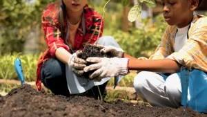 Lire la suite à propos de l’article Education à l’environnement : L’UNESCO lance de nouvelles initiatives pour « rendre l’éducation plus verte » dans les salles de classe