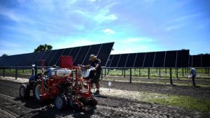 Lire la suite à propos de l’article Une ferme agrivoltaïque pour alimenter la Cité du Vatican