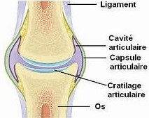 Tout sur les douleurs articulaires