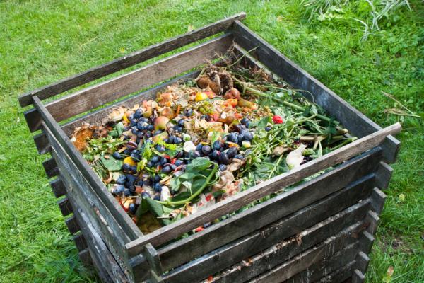 You are currently viewing Gestion des déchets : Comment composter ses biodéchets ?